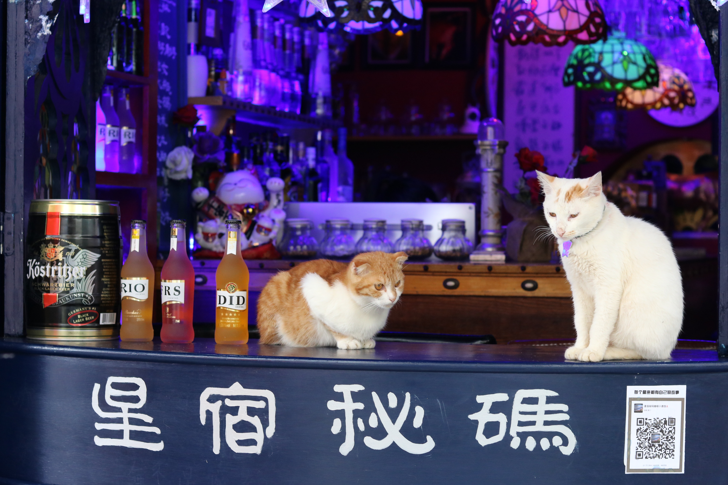 North_Cc的个人主页（封面预览） - 主页封面设置 - 站酷设计师North_Cc原创素材 - 站酷ZCOOL