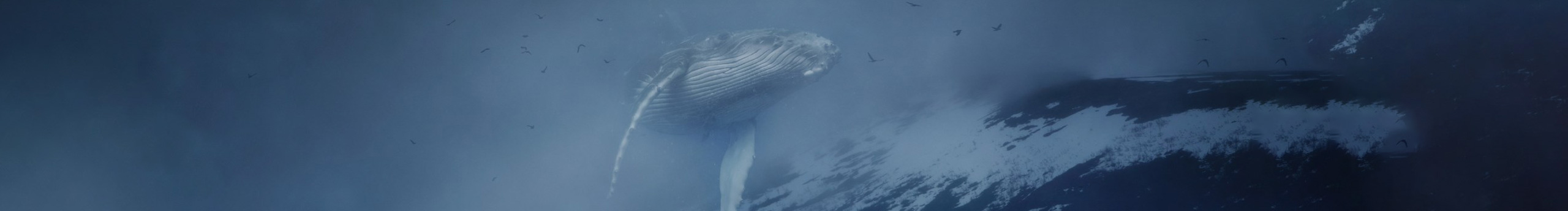 丶熱心網(wǎng)友丶的個(gè)人主頁（封面預(yù)覽） - 主頁封面設(shè)置 - 站酷設(shè)計(jì)師丶熱心網(wǎng)友丶原創(chuàng)素材 - 站酷ZCOOL