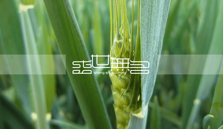 xin2010的个人主页（封面预览） - 主页封面设置 - 站酷设计师xin2010原创素材 - 站酷ZCOOL