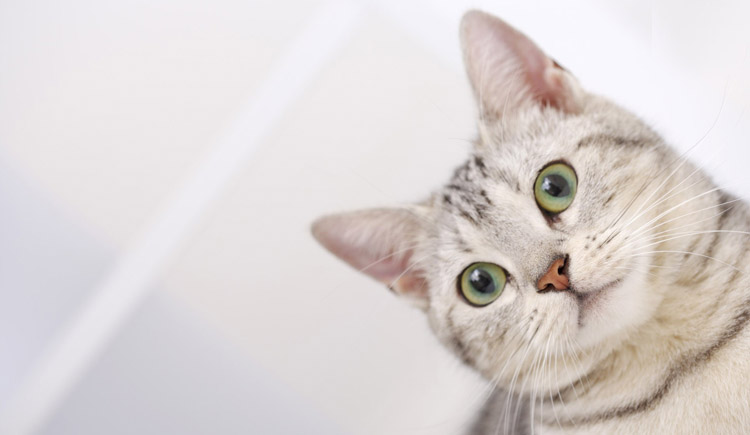 lidibin的個人主頁（封面預(yù)覽） - 主頁封面設(shè)置 - 站酷設(shè)計師lidibin原創(chuàng)素材 - 站酷ZCOOL