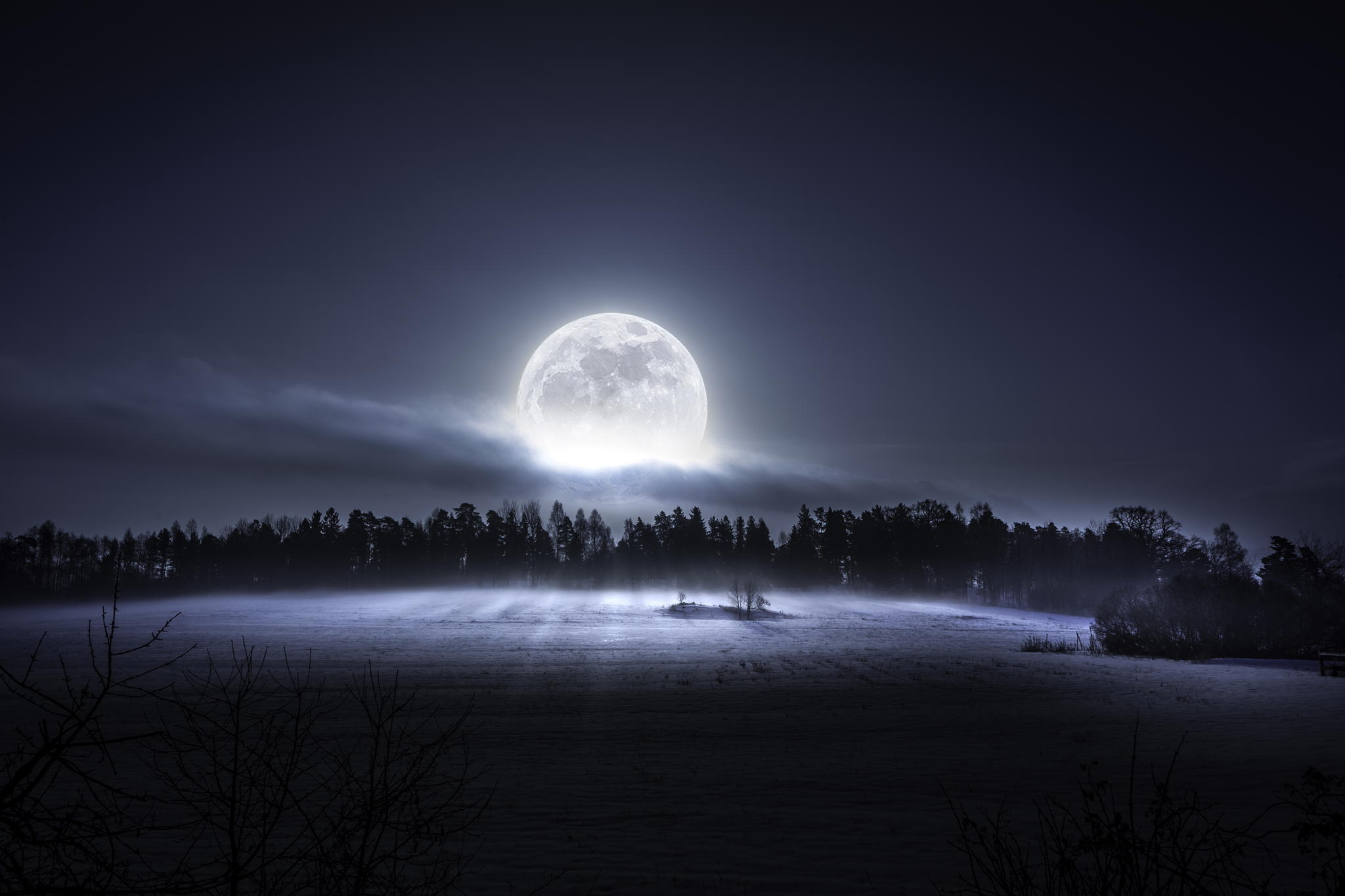 杨国泉的个人主页（封面预览） - 主页封面设置 - 站酷设计师杨国泉原创素材 - 站酷ZCOOL