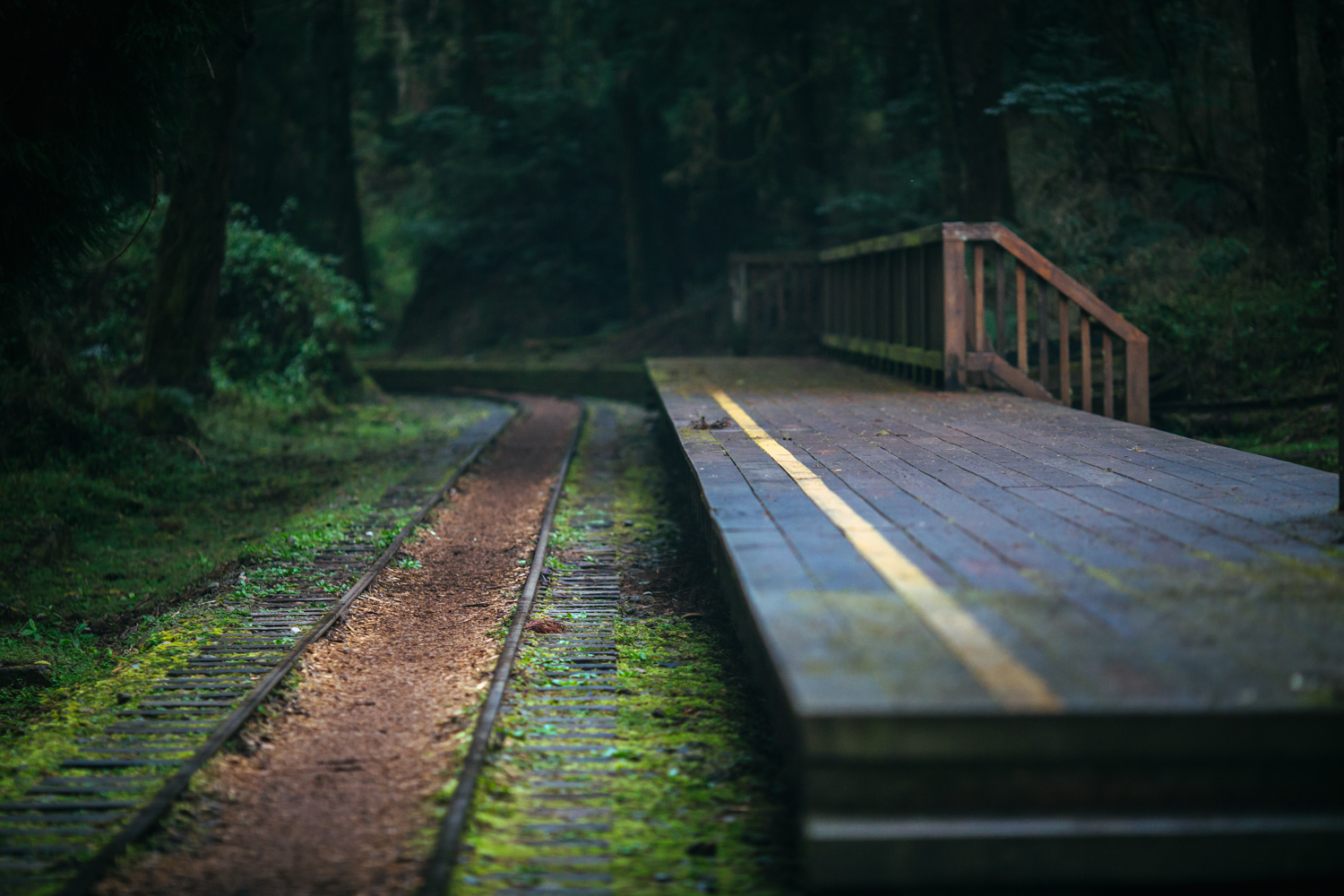 che_chloe的个人主页（封面预览） - 主页封面设置 - 站酷设计师che_chloe原创素材 - 站酷ZCOOL