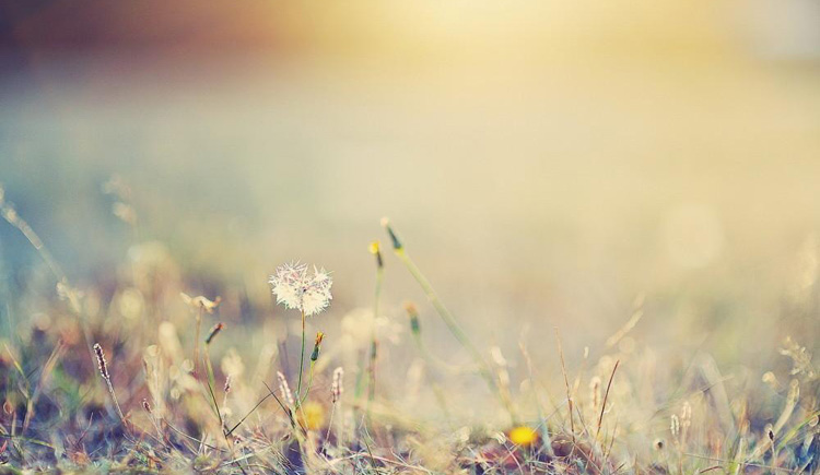 蘇詩(shī)鳴的個(gè)人主頁(yè)（封面預(yù)覽） - 主頁(yè)封面設(shè)置 - 站酷設(shè)計(jì)師蘇詩(shī)鳴原創(chuàng)素材 - 站酷ZCOOL