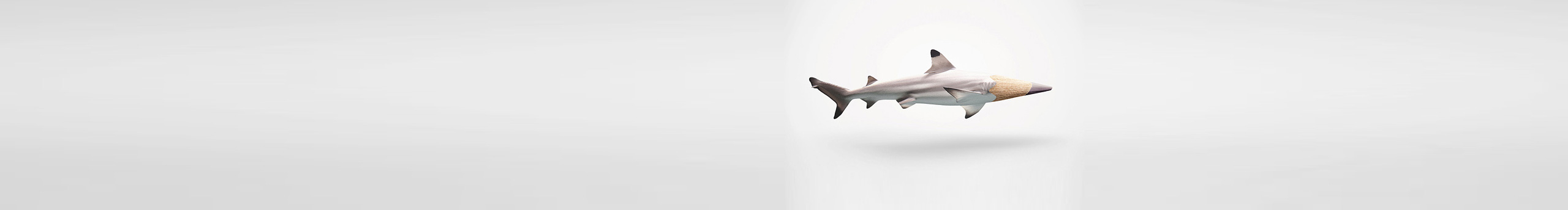 dandanshu的个人主页（封面预览） - 主页封面设置 - 站酷设计师dandanshu原创素材 - 站酷ZCOOL