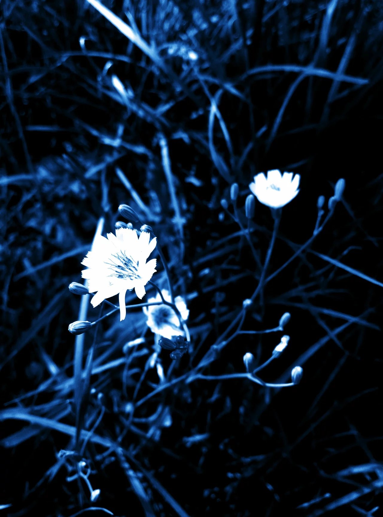 琉铭的个人主页（封面预览） - 主页封面设置 - 站酷设计师琉铭原创素材 - 站酷ZCOOL