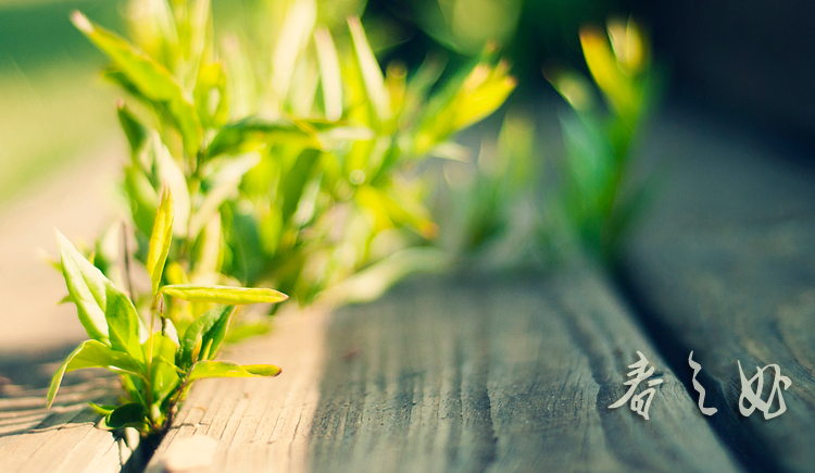 past_feeling的个人主页（封面预览） - 主页封面设置 - 站酷设计师past_feeling原创素材 - 站酷ZCOOL