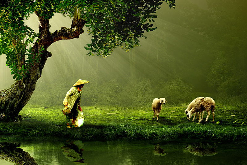 lmm_best的个人主页（封面预览） - 主页封面设置 - 站酷设计师lmm_best原创素材 - 站酷ZCOOL