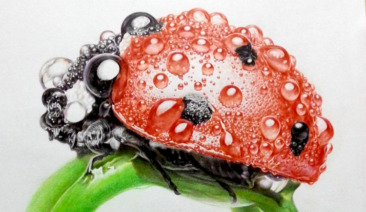 許歡的個人主頁（封面預覽） - 主頁封面設置 - 站酷設計師許歡原創(chuàng)素材 - 站酷ZCOOL