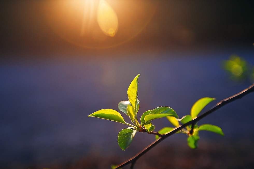 最初的自己的个人主页（封面预览） - 主页封面设置 - 站酷设计师最初的自己原创素材 - 站酷ZCOOL