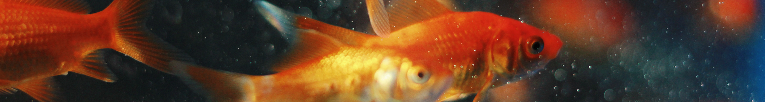 大少爺一九的個人主頁（封面預覽） - 主頁封面設置 - 站酷設計師大少爺一九原創(chuàng)素材 - 站酷ZCOOL