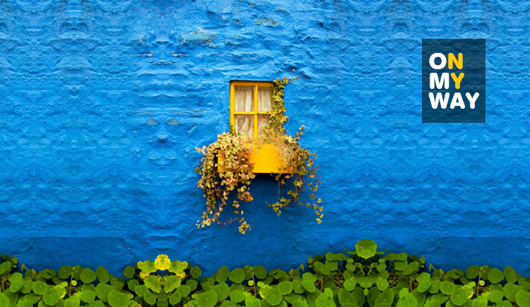 frozennina的个人主页（封面预览） - 主页封面设置 - 站酷设计师frozennina原创素材 - 站酷ZCOOL