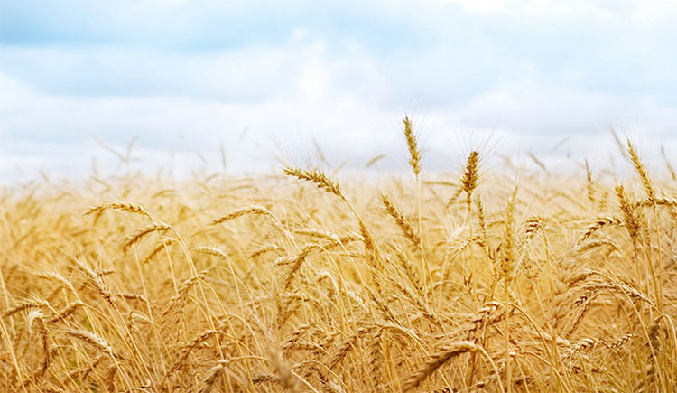 魔爪视觉的个人主页（封面预览） - 主页封面设置 - 站酷设计师魔爪视觉原创素材 - 站酷ZCOOL