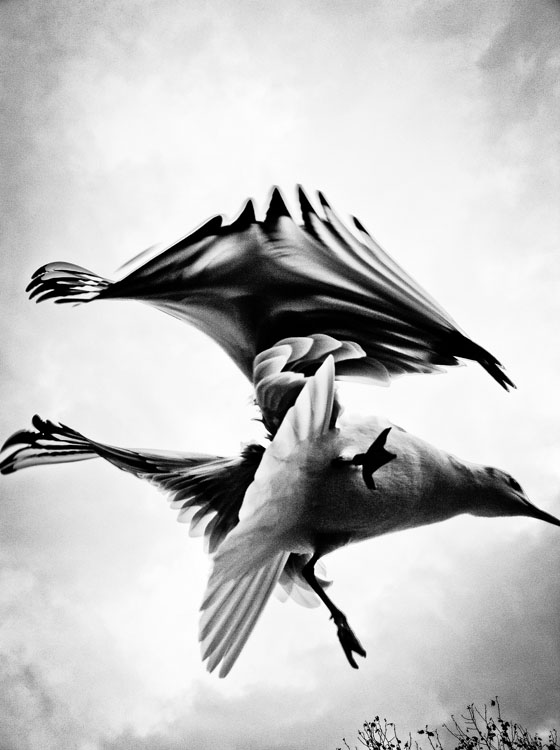 BirdMan何雄的个人主页（封面预览） - 主页封面设置 - 站酷设计师BirdMan何雄原创素材 - 站酷ZCOOL