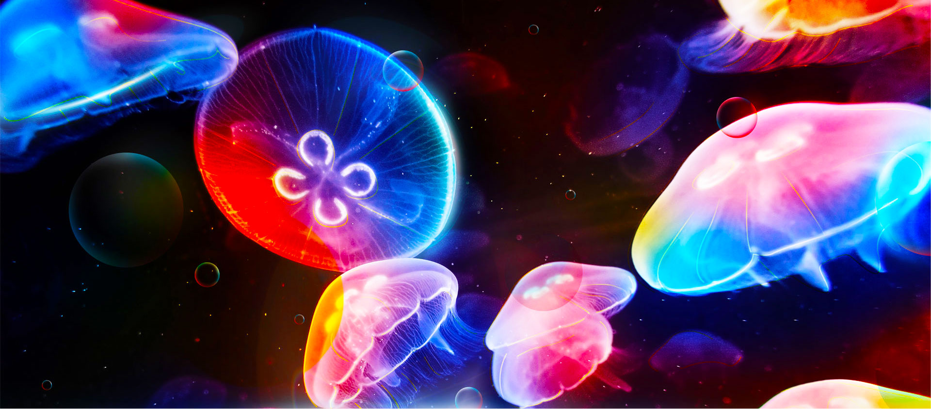 代果与火引弹的个人主页（封面预览） - 主页封面设置 - 站酷设计师代果与火引弹原创素材 - 站酷ZCOOL