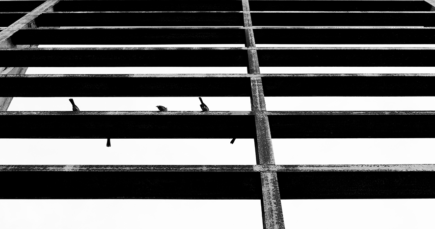 wuwuyu佳的個人主頁（封面預(yù)覽） - 主頁封面設(shè)置 - 站酷設(shè)計師wuwuyu佳原創(chuàng)素材 - 站酷ZCOOL