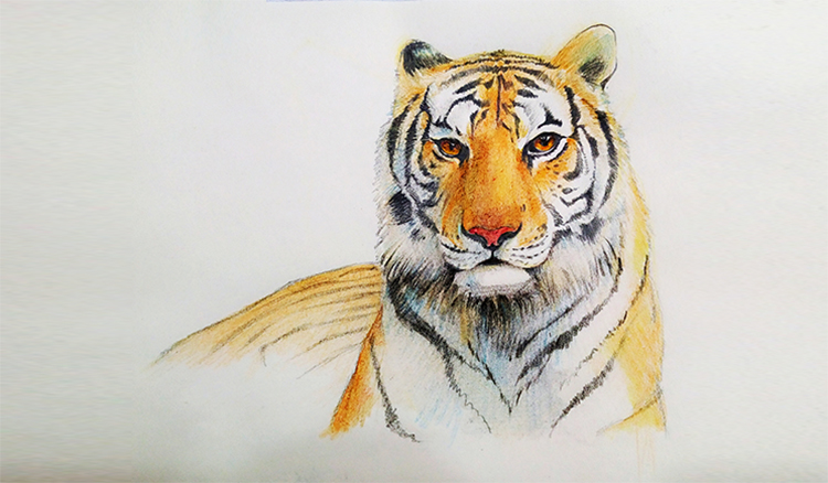 格子MY的个人主页（封面预览） - 主页封面设置 - 站酷设计师格子MY原创素材 - 站酷ZCOOL