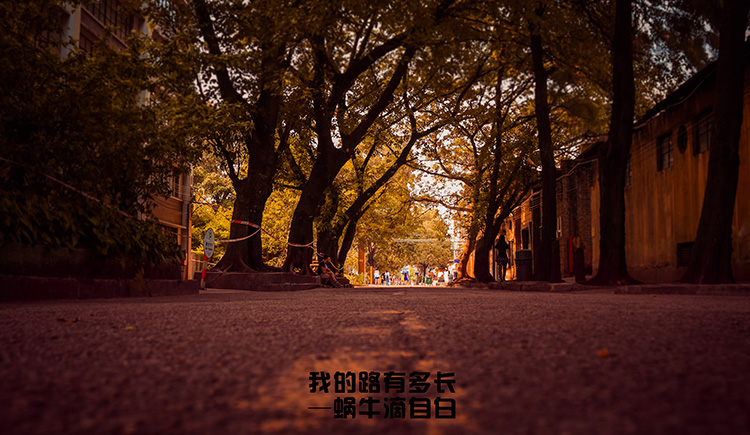 UU摄影后期的个人主页（封面预览） - 主页封面设置 - 站酷设计师UU摄影后期原创素材 - 站酷ZCOOL
