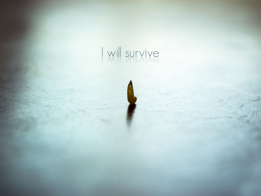 木槿TJT的個人主頁（封面預(yù)覽） - 主頁封面設(shè)置 - 站酷設(shè)計師木槿TJT原創(chuàng)素材 - 站酷ZCOOL