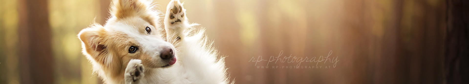 cathy陳的個人主頁（封面預(yù)覽） - 主頁封面設(shè)置 - 站酷設(shè)計師cathy陳原創(chuàng)素材 - 站酷ZCOOL