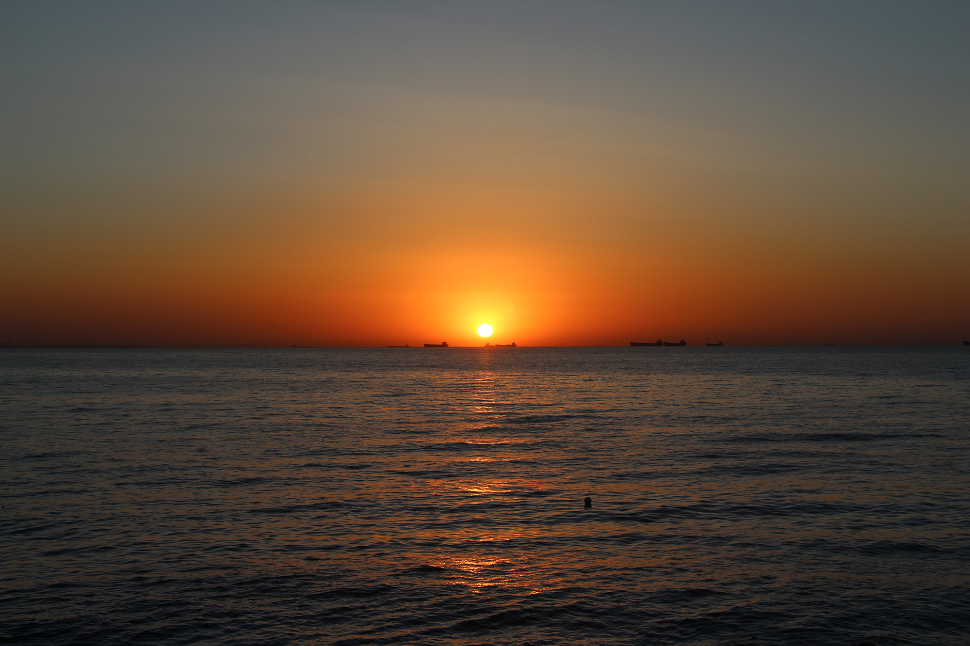 _Molly的个人主页（封面预览） - 主页封面设置 - 站酷设计师_Molly原创素材 - 站酷ZCOOL