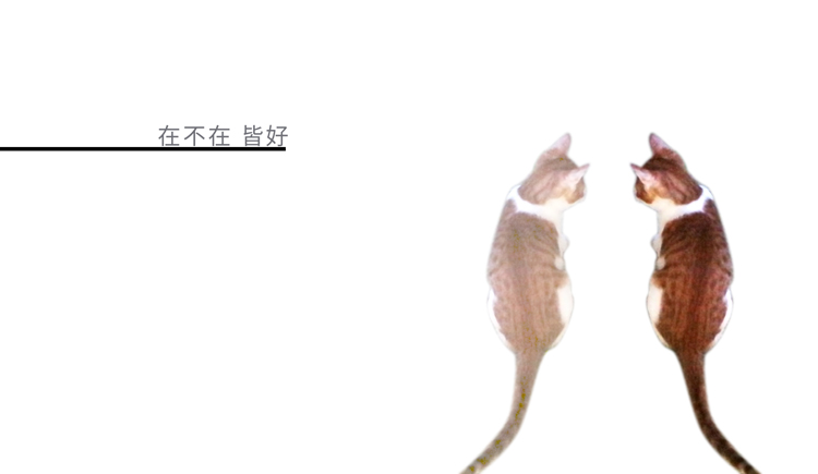 是佳不是假的个人主页（封面预览） - 主页封面设置 - 站酷设计师是佳不是假原创素材 - 站酷ZCOOL