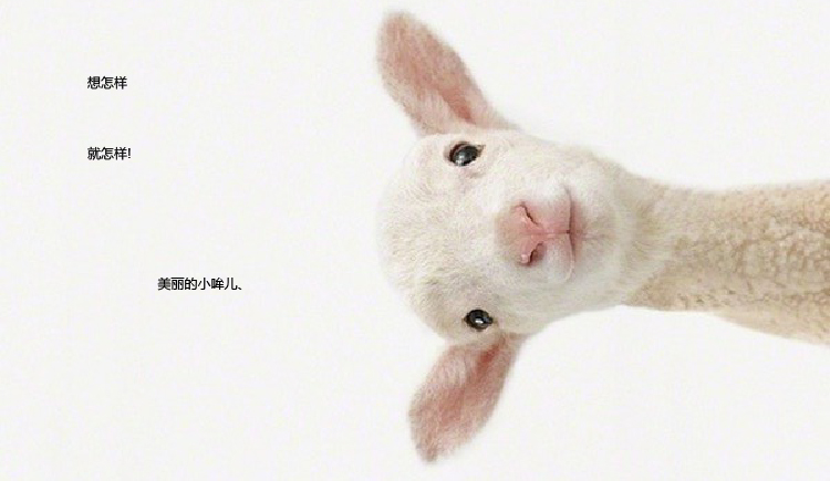 JIACHENL的個(gè)人主頁（封面預(yù)覽） - 主頁封面設(shè)置 - 站酷設(shè)計(jì)師JIACHENL原創(chuàng)素材 - 站酷ZCOOL