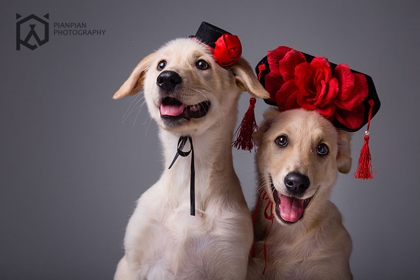 Lll刘莉莉的个人主页（封面预览） - 主页封面设置 - 站酷设计师Lll刘莉莉原创素材 - 站酷ZCOOL