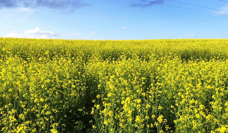 DD_DL的个人主页（封面预览） - 主页封面设置 - 站酷设计师DD_DL原创素材 - 站酷ZCOOL