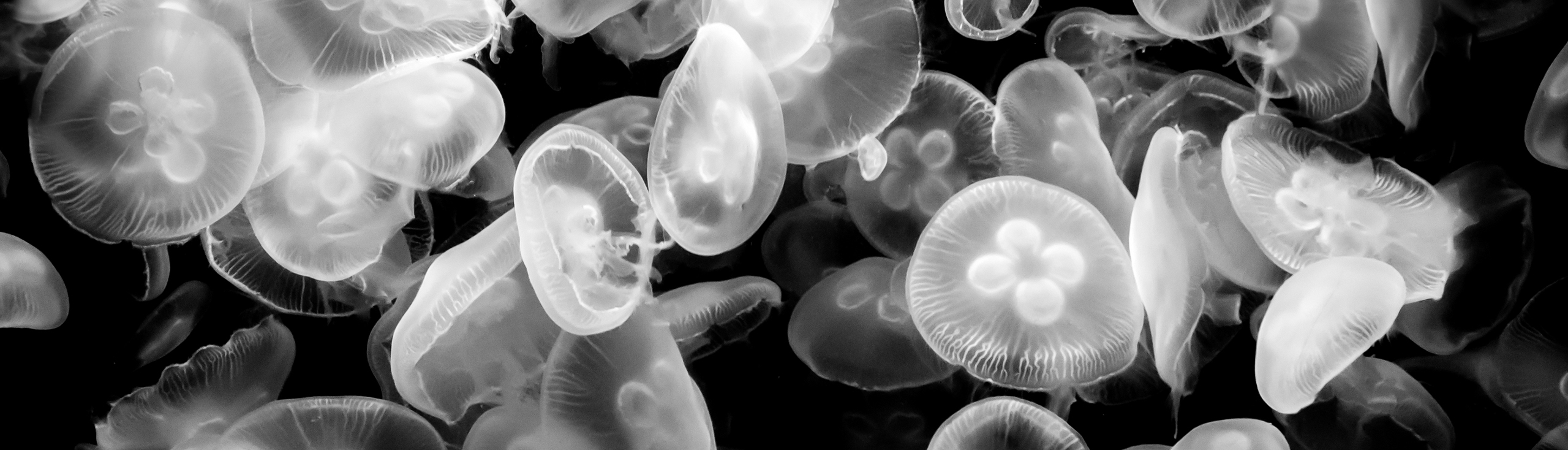 Crazystock的个人主页（封面预览） - 主页封面设置 - 站酷设计师Crazystock原创素材 - 站酷ZCOOL