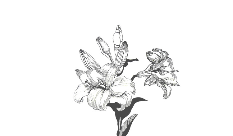 游野的個(gè)人主頁(yè)（封面預(yù)覽） - 主頁(yè)封面設(shè)置 - 站酷設(shè)計(jì)師游野原創(chuàng)素材 - 站酷ZCOOL