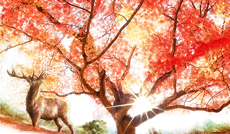 scztxwd2的个人主页（封面预览） - 主页封面设置 - 站酷设计师scztxwd2原创素材 - 站酷ZCOOL