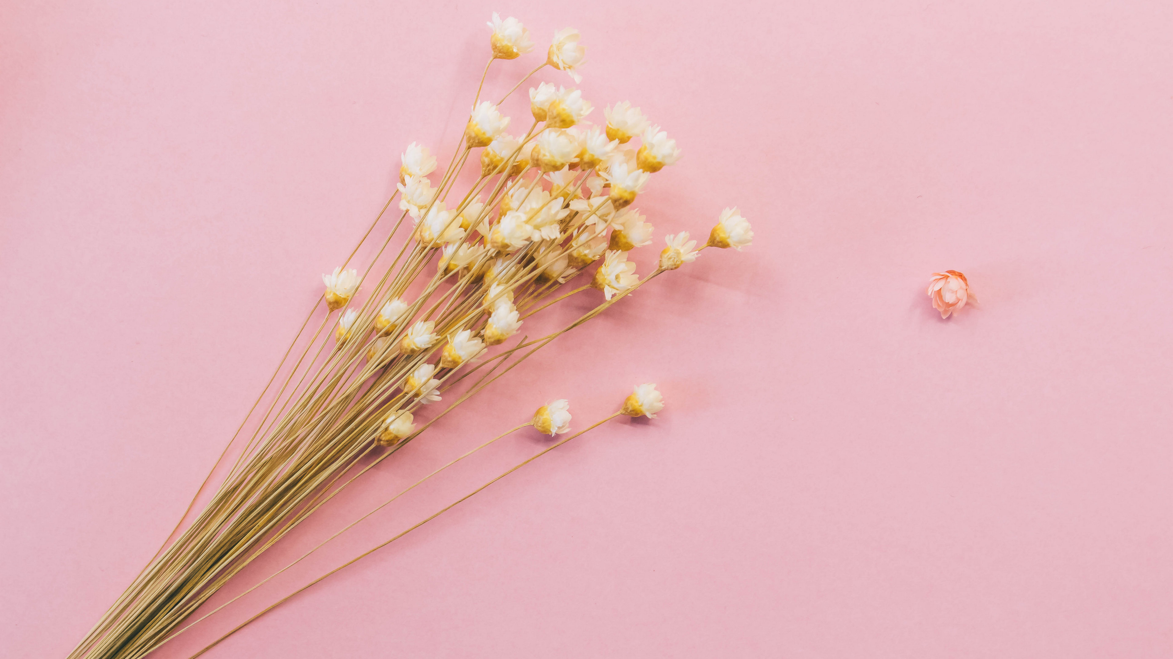 已注銷11的個人主頁（封面預(yù)覽） - 主頁封面設(shè)置 - 站酷設(shè)計師已注銷11原創(chuàng)素材 - 站酷ZCOOL