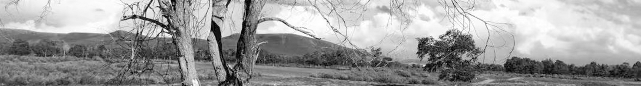 一只懒虫00的个人主页（封面预览） - 主页封面设置 - 站酷设计师一只懒虫00原创素材 - 站酷ZCOOL