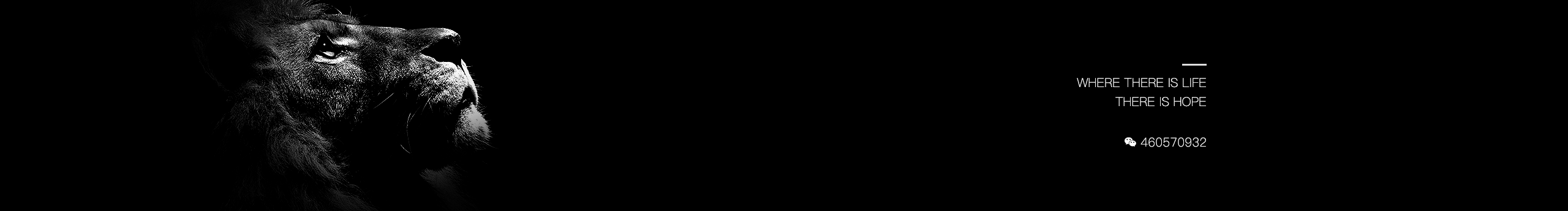 Juno_Jin的个人主页（封面预览） - 主页封面设置 - 站酷设计师Juno_Jin原创素材 - 站酷ZCOOL