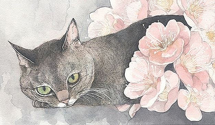 CAT设计00的个人主页（封面预览） - 主页封面设置 - 站酷设计师CAT设计00原创素材 - 站酷ZCOOL