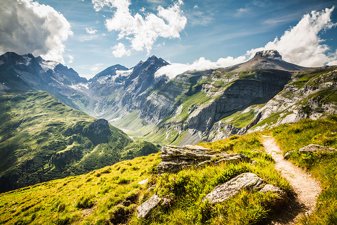 安娜玫瑰的个人主页（封面预览） - 主页封面设置 - 站酷设计师安娜玫瑰原创素材 - 站酷ZCOOL