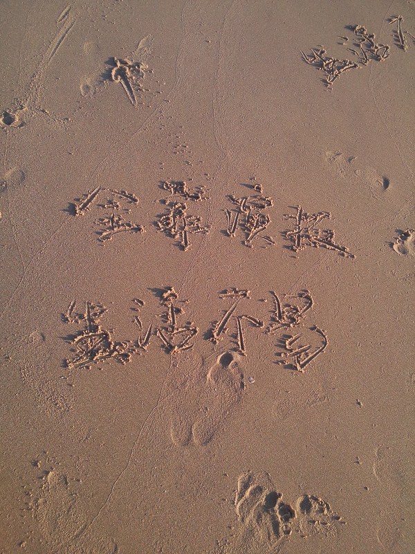 suzimu的個人主頁（封面預覽） - 主頁封面設(shè)置 - 站酷設(shè)計師suzimu原創(chuàng)素材 - 站酷ZCOOL