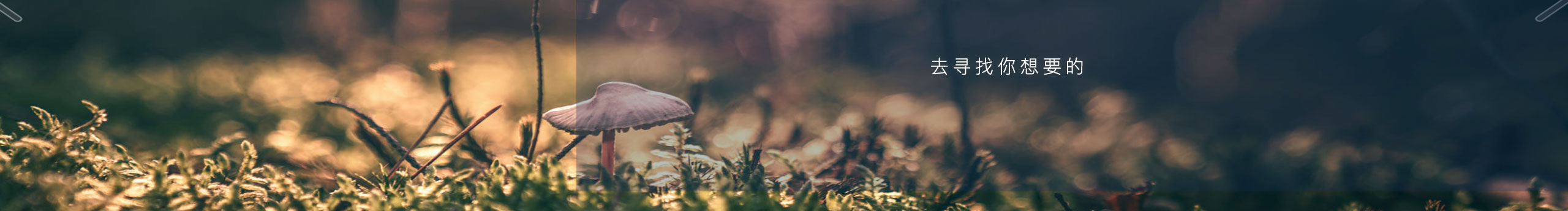 小关仔的个人主页（封面预览） - 主页封面设置 - 站酷设计师小关仔原创素材 - 站酷ZCOOL