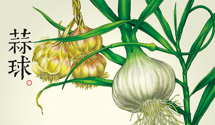 wjp24739的個(gè)人主頁（封面預(yù)覽） - 主頁封面設(shè)置 - 站酷設(shè)計(jì)師wjp24739原創(chuàng)素材 - 站酷ZCOOL