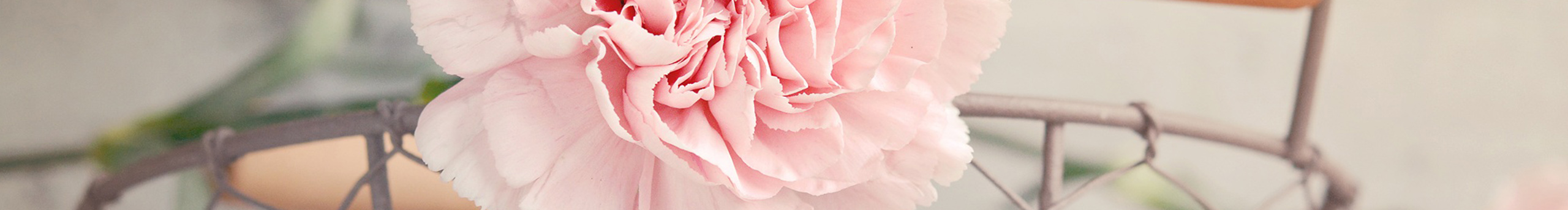 时光薇安的个人主页（封面预览） - 主页封面设置 - 站酷设计师时光薇安原创素材 - 站酷ZCOOL