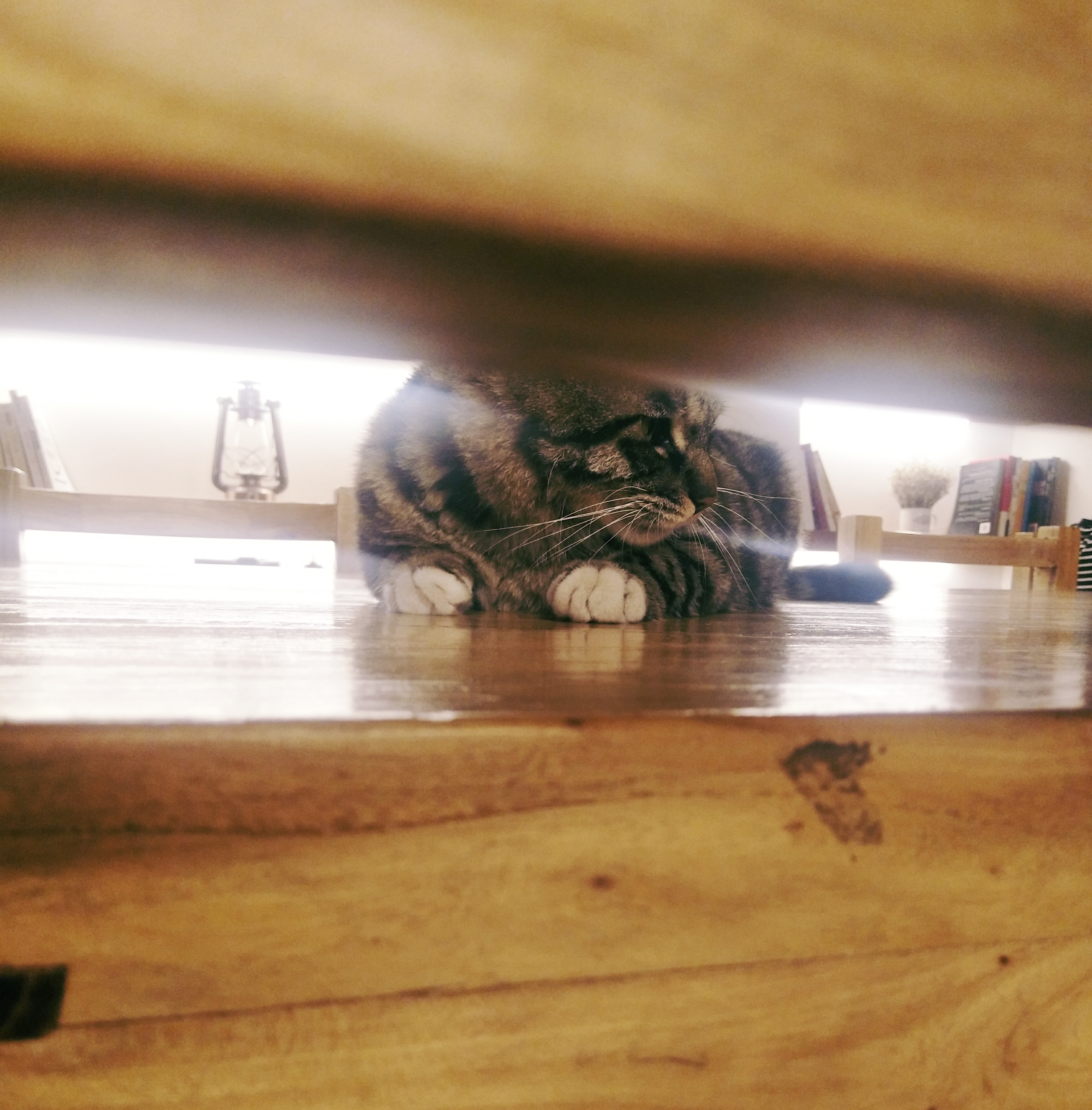 李安朔的個人主頁（封面預覽） - 主頁封面設(shè)置 - 站酷設(shè)計師李安朔原創(chuàng)素材 - 站酷ZCOOL