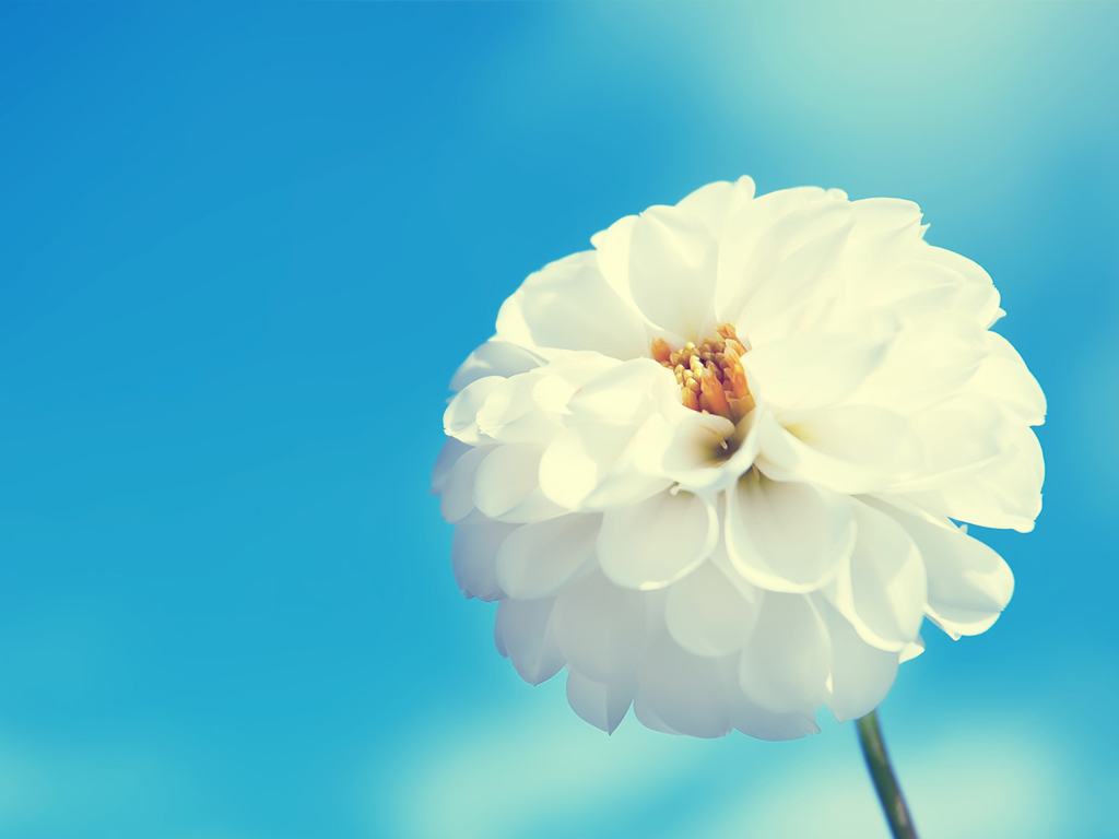 妙?lèi)?ài)醋溜兒的個(gè)人主頁(yè)（封面預(yù)覽） - 主頁(yè)封面設(shè)置 - 站酷設(shè)計(jì)師妙?lèi)?ài)醋溜兒原創(chuàng)素材 - 站酷ZCOOL