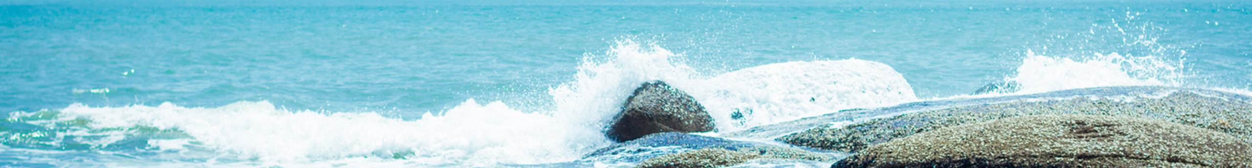 天线娜娜的个人主页（封面预览） - 主页封面设置 - 站酷设计师天线娜娜原创素材 - 站酷ZCOOL