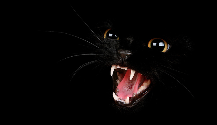 qbqbqqbb的個(gè)人主頁(yè)（封面預(yù)覽） - 主頁(yè)封面設(shè)置 - 站酷設(shè)計(jì)師qbqbqqbb原創(chuàng)素材 - 站酷ZCOOL