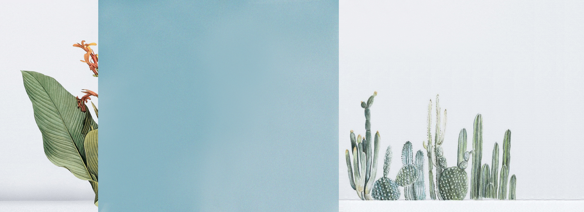 青禾小姐姐的个人主页（封面预览） - 主页封面设置 - 站酷设计师青禾小姐姐原创素材 - 站酷ZCOOL