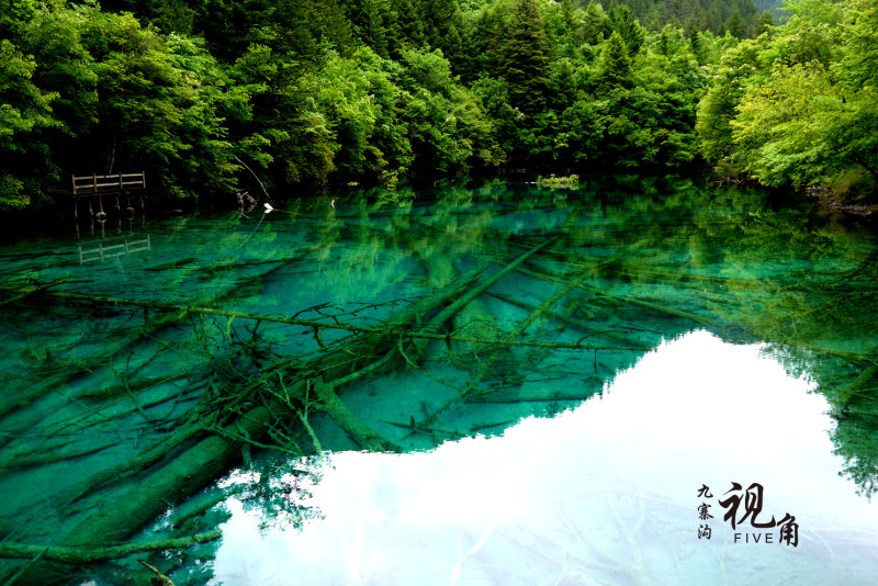 芒里小菇的個(gè)人主頁(yè)（封面預(yù)覽） - 主頁(yè)封面設(shè)置 - 站酷設(shè)計(jì)師芒里小菇原創(chuàng)素材 - 站酷ZCOOL