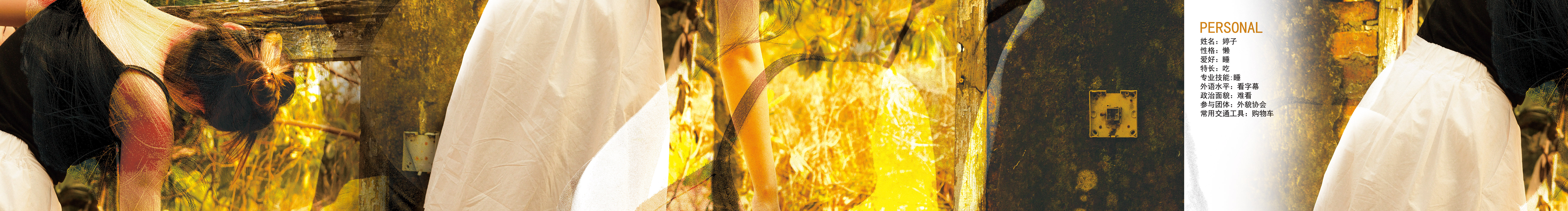 Tiny婷子的個(gè)人主頁(yè)（封面預(yù)覽） - 主頁(yè)封面設(shè)置 - 站酷設(shè)計(jì)師Tiny婷子原創(chuàng)素材 - 站酷ZCOOL