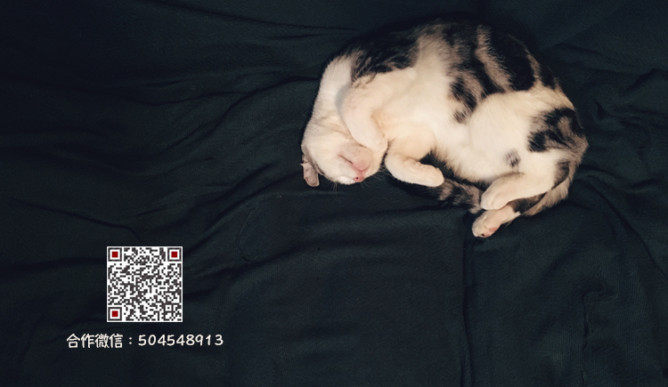 苏忆寒的个人主页（封面预览） - 主页封面设置 - 站酷设计师苏忆寒原创素材 - 站酷ZCOOL