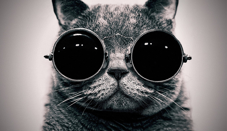 mejun的个人主页（封面预览） - 主页封面设置 - 站酷设计师mejun原创素材 - 站酷ZCOOL