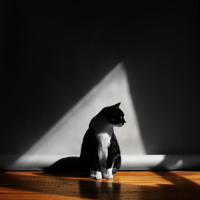 浅夏吶味道的个人主页（封面预览） - 主页封面设置 - 站酷设计师浅夏吶味道原创素材 - 站酷ZCOOL